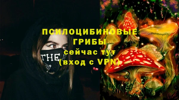 скорость Алзамай