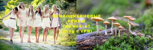мяу мяу мука Алексин