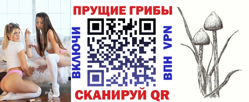 Псилоцибиновые грибы Psilocybe blacksprut ссылки Ипатово наркотики